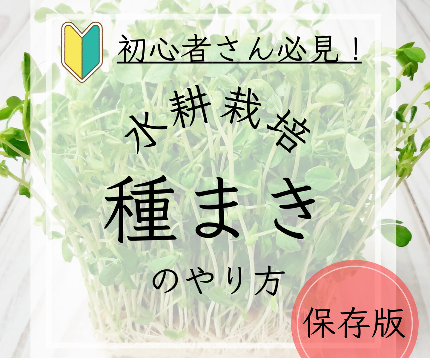 水耕栽培種まきのやり方