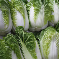 秋まき野菜は育てやすい！？おすすめの品種もご紹介！