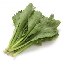 水耕栽培で春菊を育てよう！育て方、栽培時期、注意点とおすすめ品種