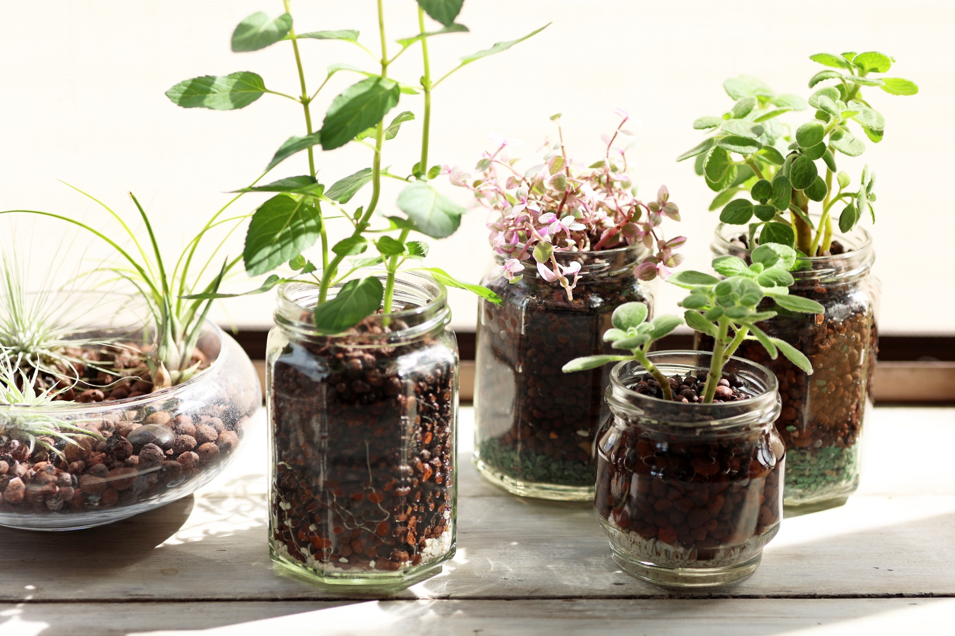 水耕栽培　おしゃれ　自作