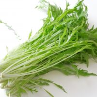 【水耕栽培】水菜の育て方とおすすめのキットなどご紹介！