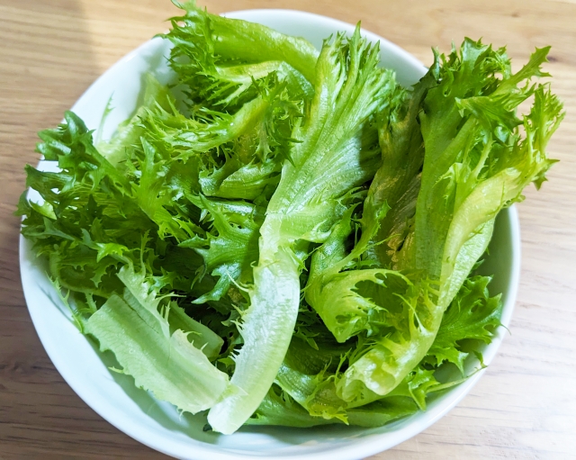 水耕栽培　元が取れる野菜　レタス