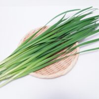 ニラの水耕栽培！収穫まで失敗しない育て方のコツ！