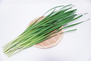 ニラ　水耕栽培