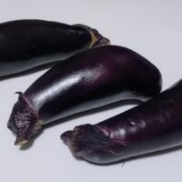 ナスを水耕栽培で育てる方法とメリットについて