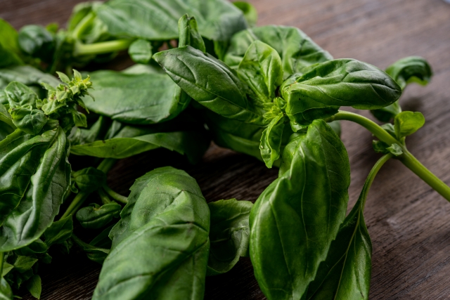 水耕栽培　元が取れる野菜　ハーブ類