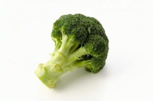 ブロッコリー　水耕栽培
