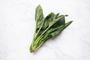 ほうれん草　水耕栽培