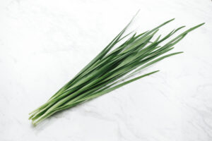 にら　水耕栽培