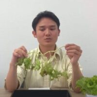 野菜の徒長が気になる方へ！原因と正しい対策法、失敗しない栽培のコツ