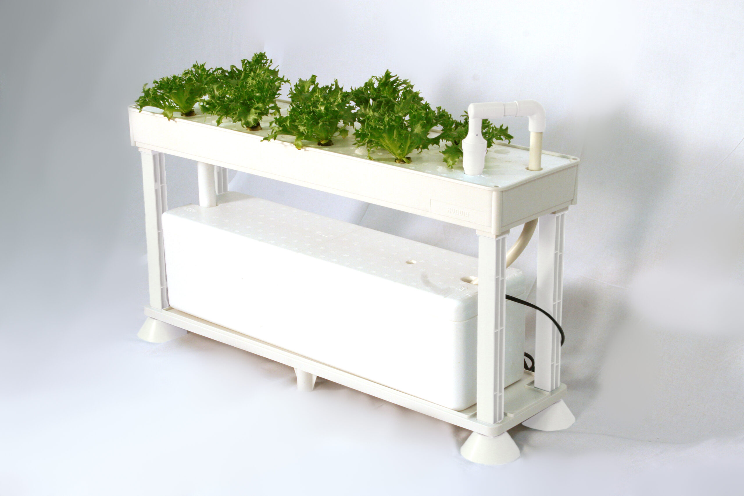 水耕栽培　おしゃれ　キット