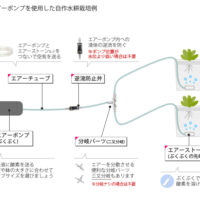 水耕栽培自作キットを作ろう！エアーポンプの役割って？