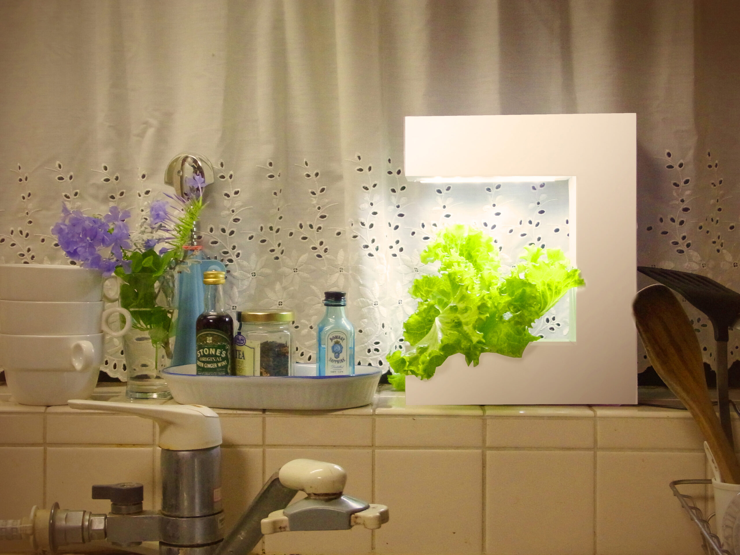 水耕栽培　おしゃれ　キット