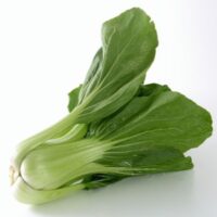 初心者でも簡単！チンゲン菜の水耕栽培