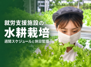 就労支援施設で水耕栽培を始めるには？作業内容と役割分担のポイント