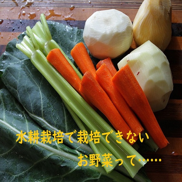 水耕栽培で栽培できない野菜