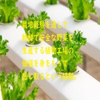 植物工場プロジェクトを任された方へ：成功へのファーストステップ