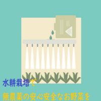 無農薬野菜の作り方に自信あり！水耕栽培の強みのひとつです。