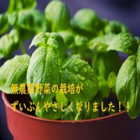 植物工場の成功を目指してメリット・デメリットを知っておこう！