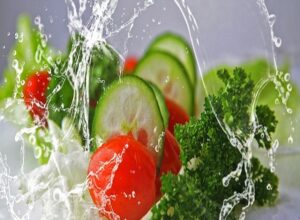 植物工場の水耕栽培はなぜ安定収穫しやすい？農薬不使用で育てるメリット